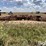 krause-4950-image-6