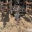 case-ih-5300-image-15
