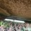 bush-hog-sq84-image-14