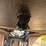 2018-great-dane-trailer-image-13