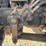 2004-caterpillar-3126-image-10