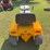 international-cub-image-6