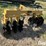 rome-tpw8b-image-6