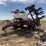case-ih-5300-image-1