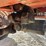 2019-jlg-8042-image-53