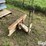 international-cub-image-7