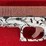 glock-model-43x-9mm-semiauto-pistol-image-9