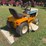 international-cub-image-5