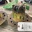 john-deere-br-image-4
