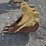 caterpillar-14-image-2