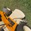 international-cub-image-17