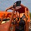 2019-jlg-8042-image-9
