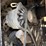 elgin-pelican-s-image-37