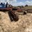 krause-4950-image-5