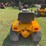 international-cub-image-6