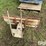 international-cub-image-6