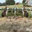 glencoe-soil-saver-image-6