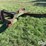 shop-built-10’-3-pt-mount-angle-blade-image-1