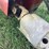 new-idea-5212-image-11