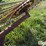 side-delivery-rake-wheels-image-19