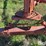 tonutti-10-wheel-3-pt-v-rake-image-16