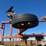 wil-rich-4640-field-cultivator-image-14