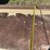 farmhand-f11-image-13