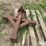 3-pt-trailer-hitch-image-6