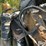 peterbilt-379-image-19