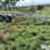 t/a-trailer-frame-image-4