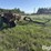 wil-rich-2900-image-3