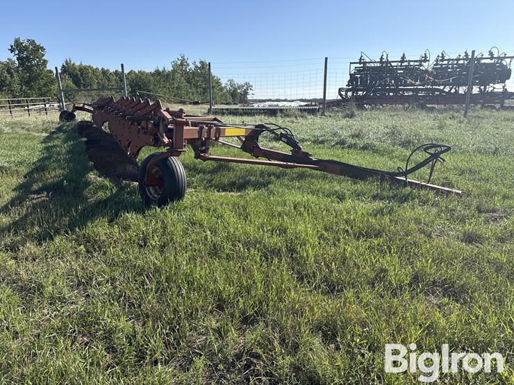 wil-rich-2900-image-3