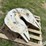 5th-wheel-plate-image-3