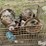 truck-rear-ends-image-4