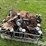 case-ih-1200-image-5