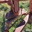 tonutti-10-wheel-3-pt-v-rake-image-17