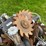 case-ih-1200-image-13