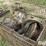 truck-rear-ends-image-7
