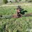 shop-built-10’-3-pt-mount-angle-blade-image-6