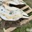 5th-wheel-plate-image-13