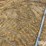 agco-2856-image-17