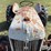 ford-8n-image-18