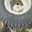 lawn-mower-tires-&-rims-image-19