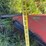 84”-3-pt-mounted-snow-blower-image-13