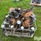 case-ih-1200-image-2