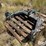 case-ih-3-image-1