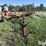 wil-rich-2900-image-2