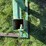 shop-built-54”-3-pt-mounted-bale-fork-image-16