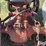 ford-8n-image-11