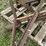 saw-blade-image-10